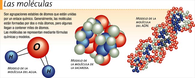 Diferencia entre molécula y átomo