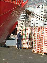 El continuador 2003.09.03