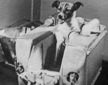 602993-jpg - En 1958 viajó al espacio a bordo del Sputnik II. 