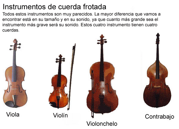 Violín, viola, violonchelo y contrabajo