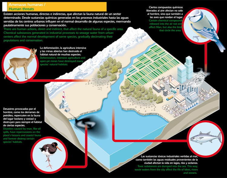 Amenazas humanas que afectan la fauna