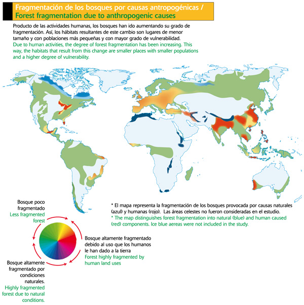 Fragmentación de los bosques por causas antropogénicas