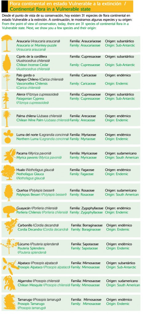 Flora continental chilena  en estado Vulnerable a la extinción