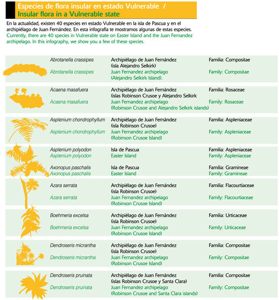 Especies de flora insular en estado Vulnerable