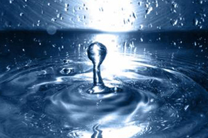 Celebran en Chile el Día Mundial del Agua