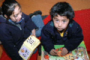 Dibam entrega 3.441 maletines literarios