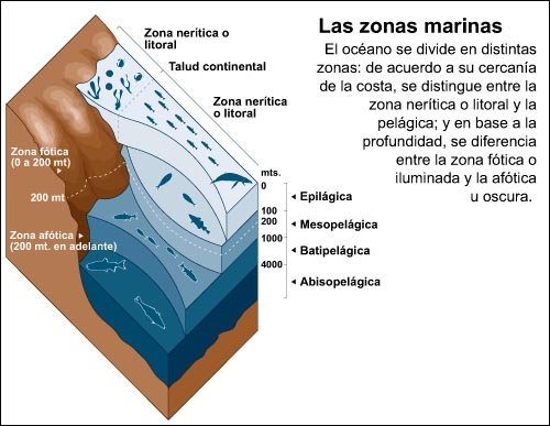 Las zonas marinas