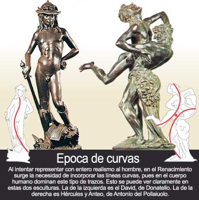 Curvas del cuerpo humano