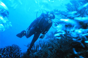 Para bucear, hay que tener en cuenta que la fortaleza y el dominio mental sobre el organismo son fundamentales para lograr una adecuada relajación.