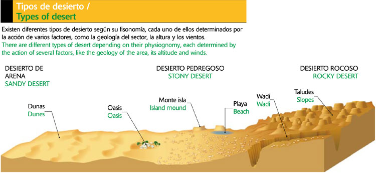 Tipos de desiertos