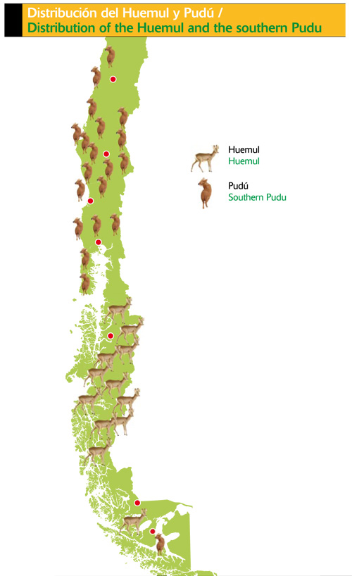 Distribución del Huemul y Pudú