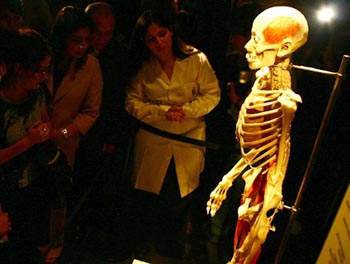 610391-jpg - En este espécimen se encuentran visibles los huesos, las articulaciones y los ligamentos del cuerpo.