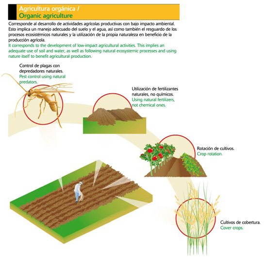 Agricultura orgánica