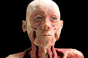 «Bodies», una impresionante muestra del cuerpo humano