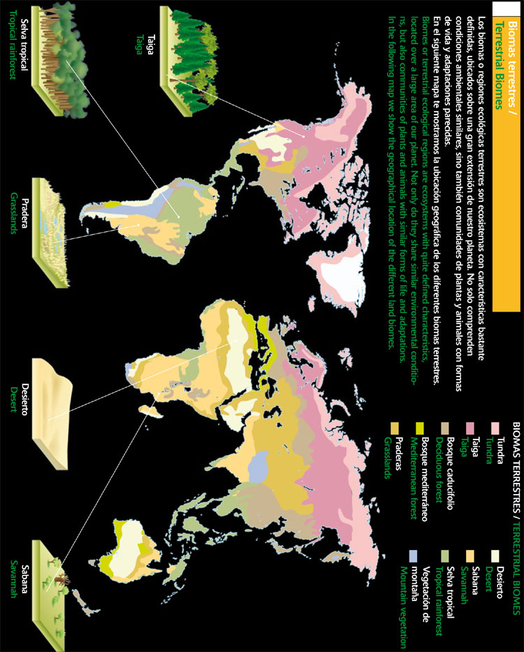 Biomas terrestres