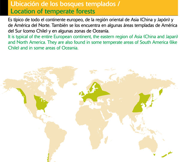 Ubicación de los bosques templados