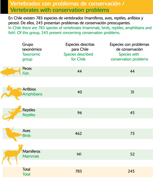 Vertebrados con problemas de conservación en Chile