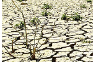 Desertificación: degradación de las tierras secas