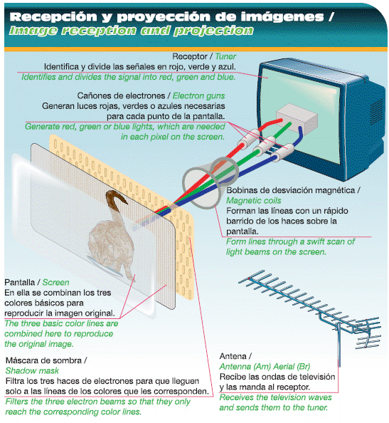 ¿Cómo funciona un televisor?