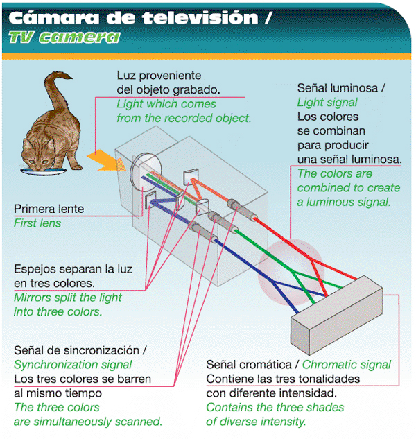 La televisión