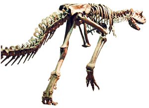 Carnotaurus: Dinosaurio con cuernos Icarito