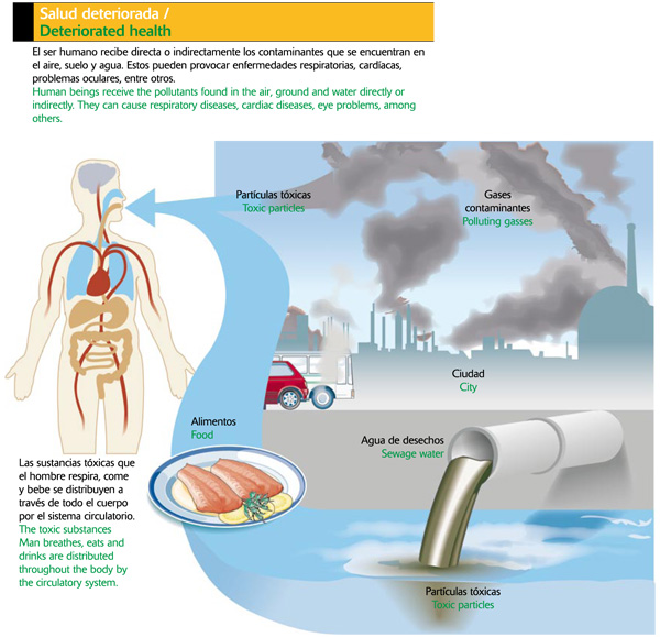 Efectos de la contaminación en el ser humano