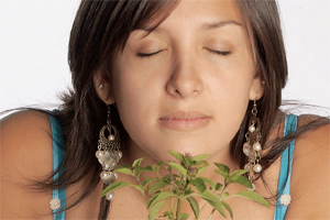 Trastornos del gusto y del olfato