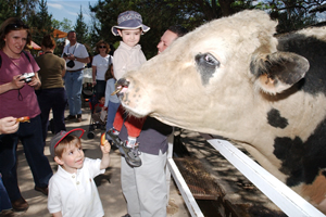 Participa en los Zootalleres del Buin Zoo