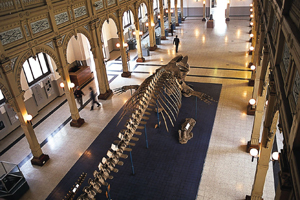 38ª Feria Científica Nacional Juvenil