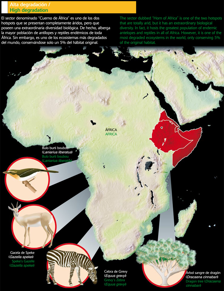 Cuerno de África: Alta degradación