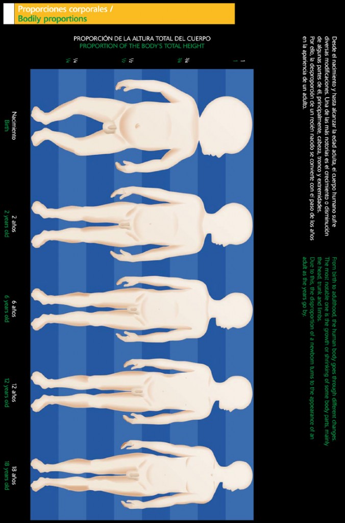 Proporciones corporales