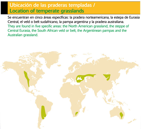 Ubicación de las praderas templadas