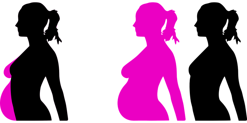 The process of reproduction