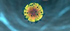 sistema inmune_celula
