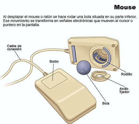 Mouse