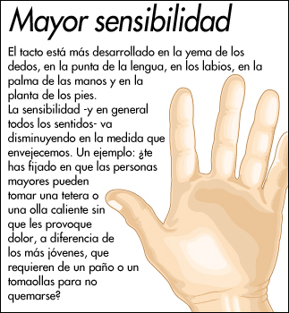 Sensibilidad en la mano