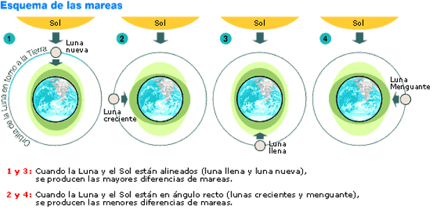 Esquema de las mareas