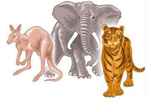 Evolución de los mamíferos