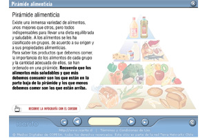 Pirámide alimenticia