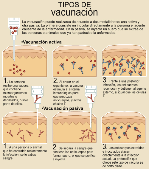 Tipos de vacunación