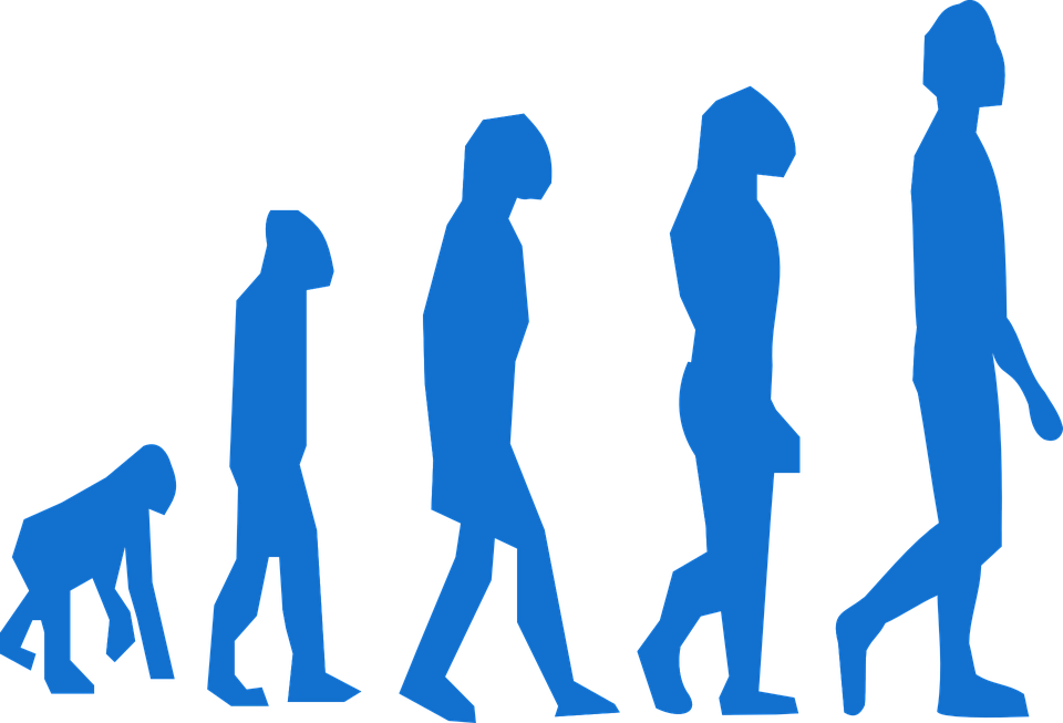 El origen del hombre y su evolución