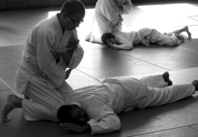 diccionario de Aikido